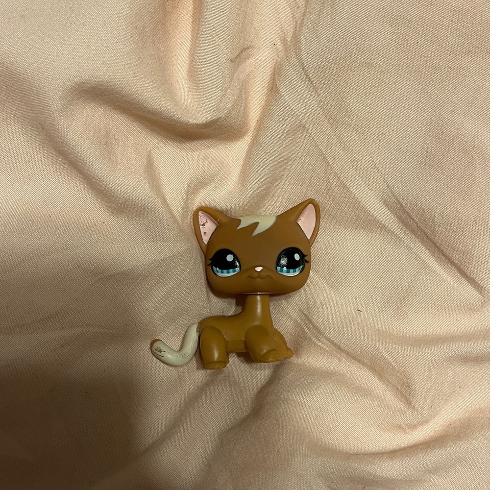littlest pet shop #1170 shorthair